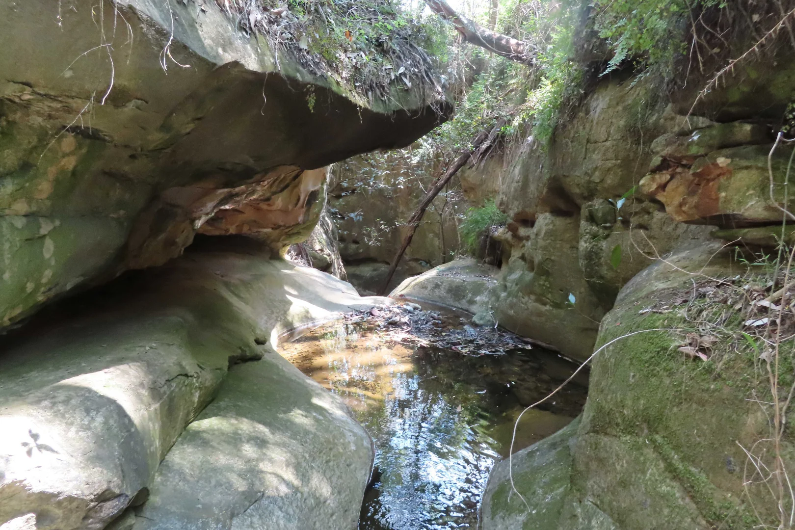 Image 12