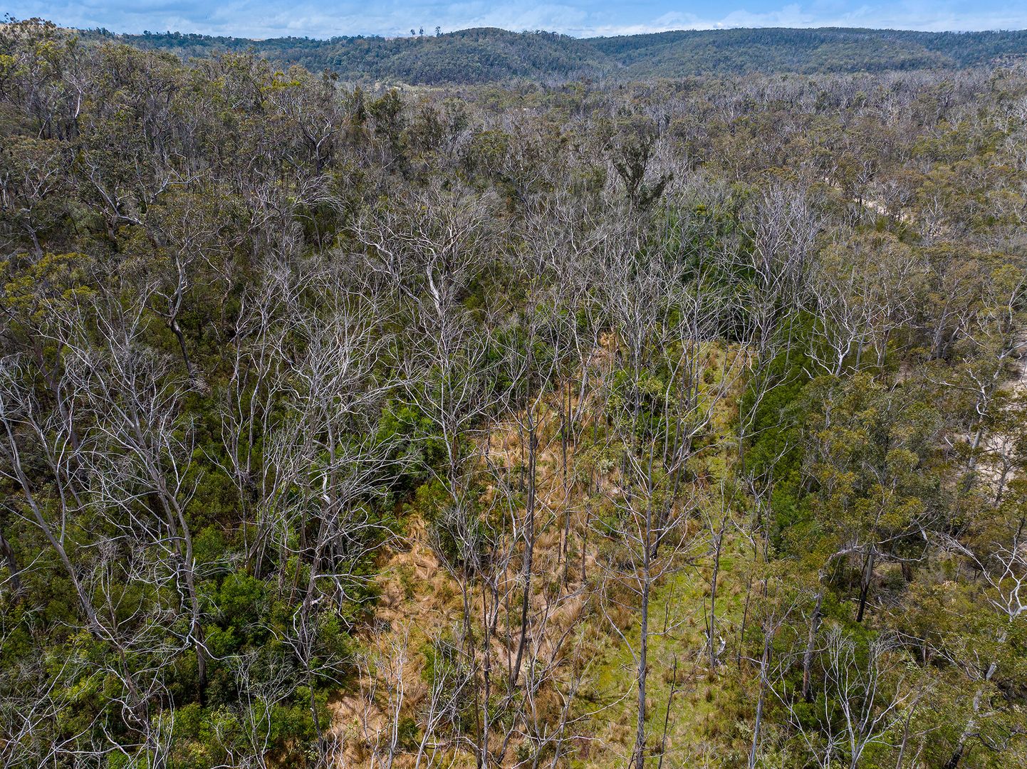 1058 Caoura Road, Tallong NSW 2579, Image 2