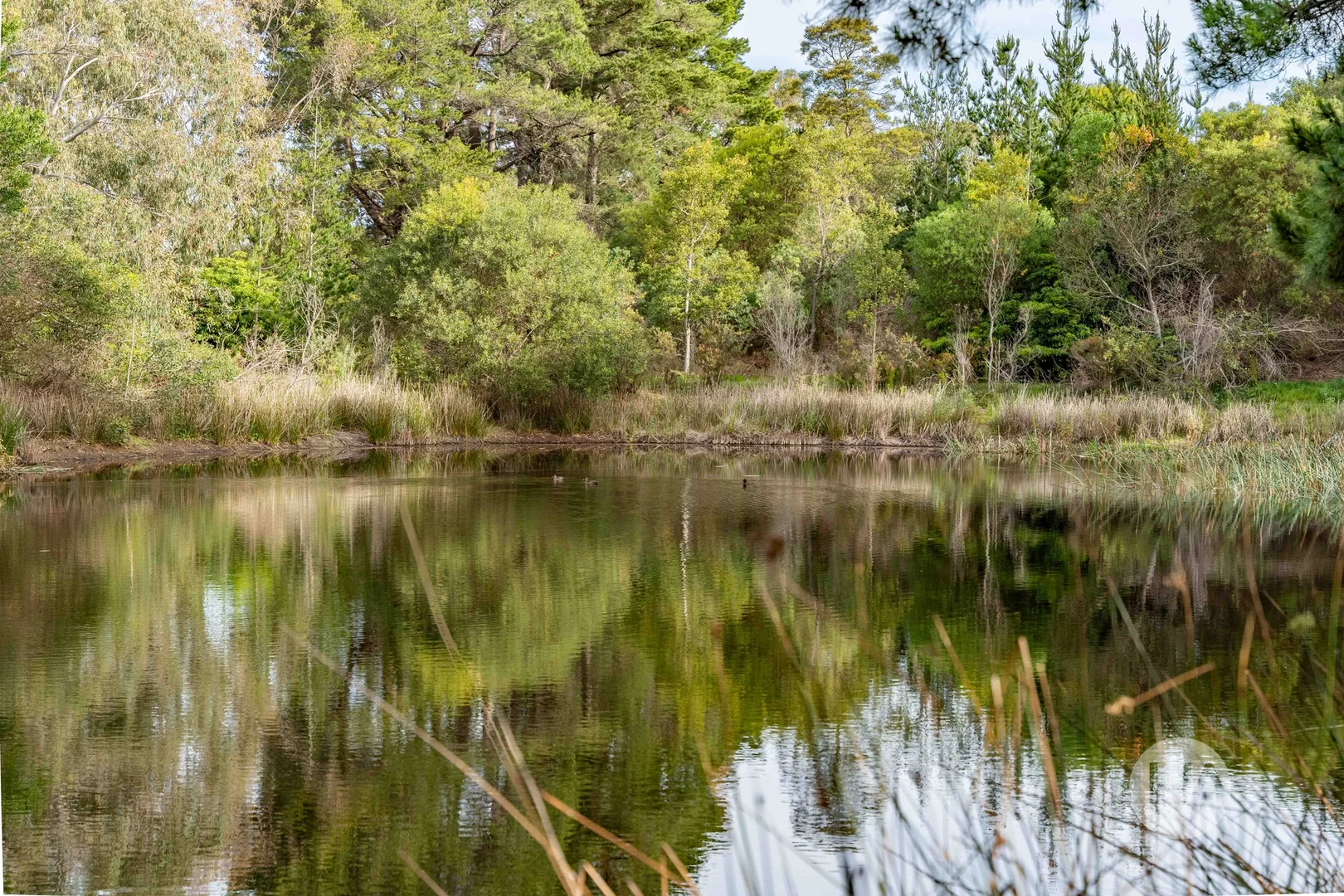 Additional image 7 of 83 Merricks Road, Merricks North VIC 3926