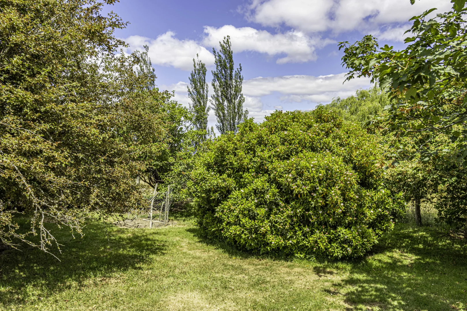 Additional image 10 of 149 & 164 Cross Road, Lucaston TAS 7109