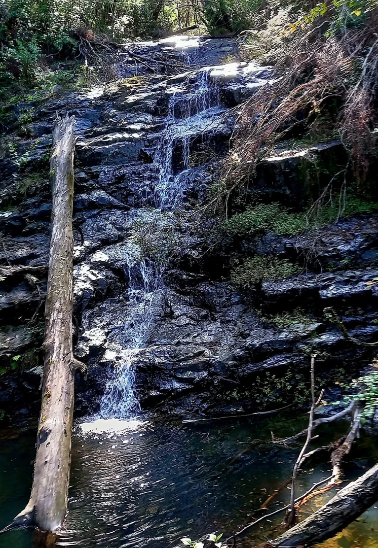 Image 30