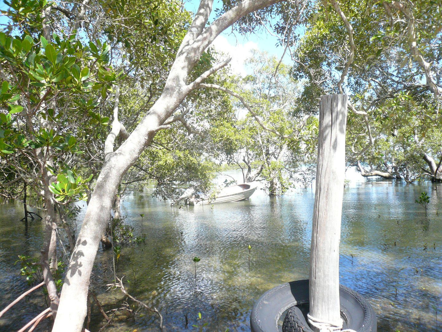 81 Coondooroopa Drive, Macleay Island QLD 4184, Image 1