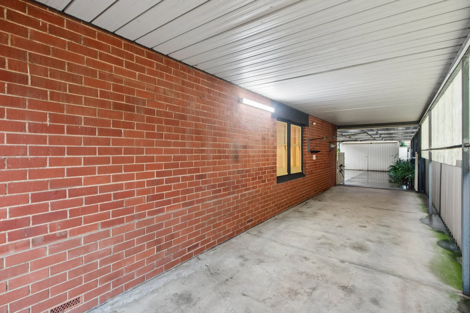 Image 20