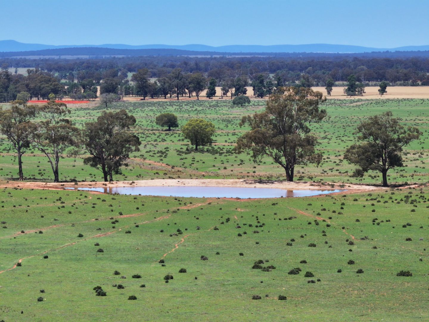 'Mentone' 1521 Bruie Plains Road, Trundle NSW 2875, Image 1