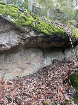 Image 18