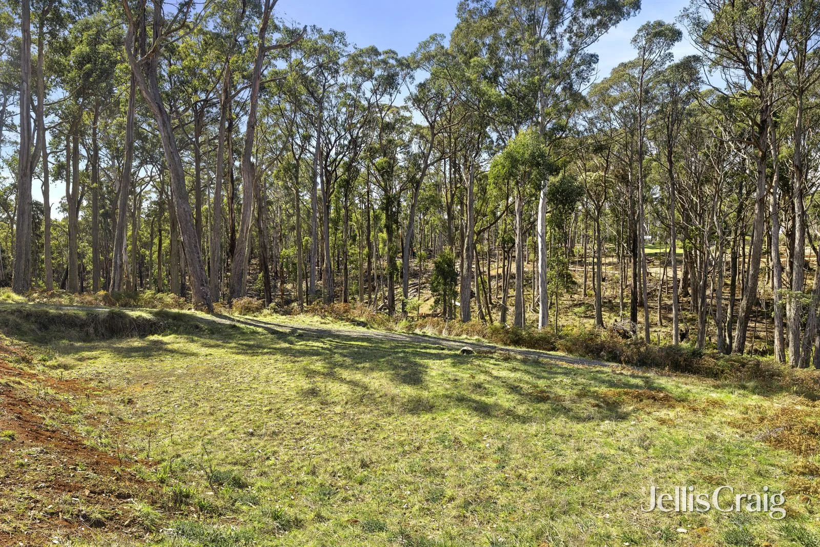 Additional image 4 of 100 Fern Road, Little Hampton VIC 3458