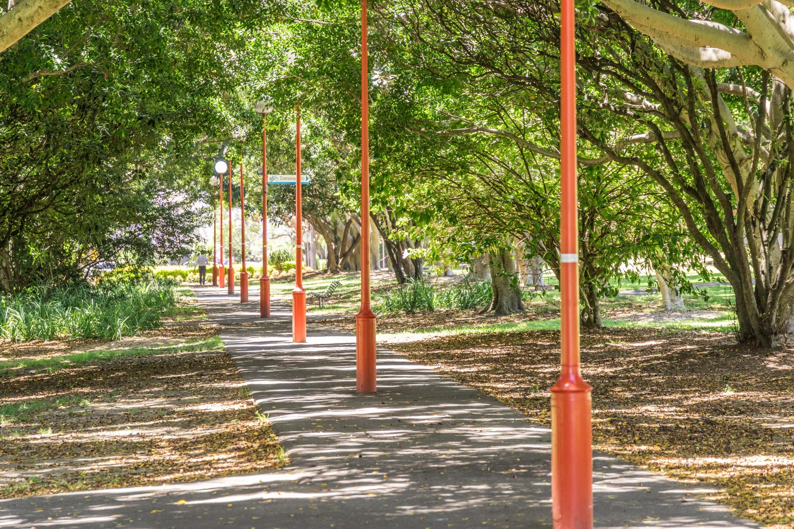 Additional image 10 of 14/316 Miller Street, North Sydney NSW 2060