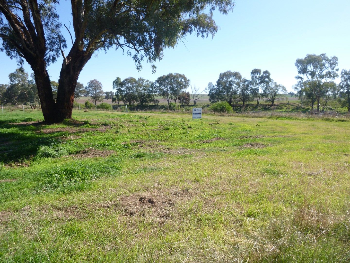 Lot 10 Griffith Street, Greenethorpe NSW 2809, Image 0