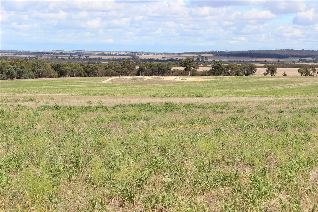 Woodanilling WA 6316, Image 1