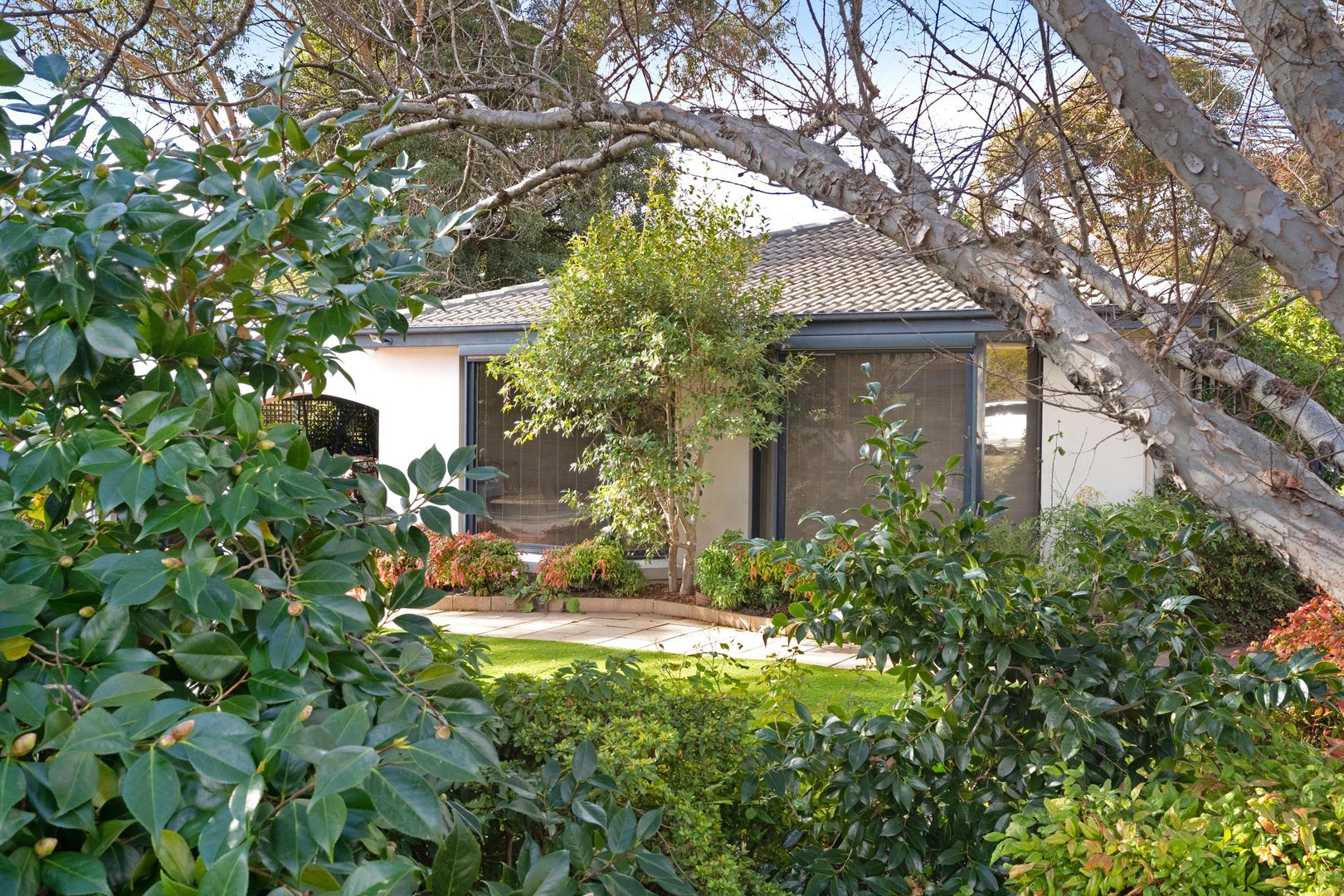 9 Doyle Terrace, Chapman ACT 2611, Image 2