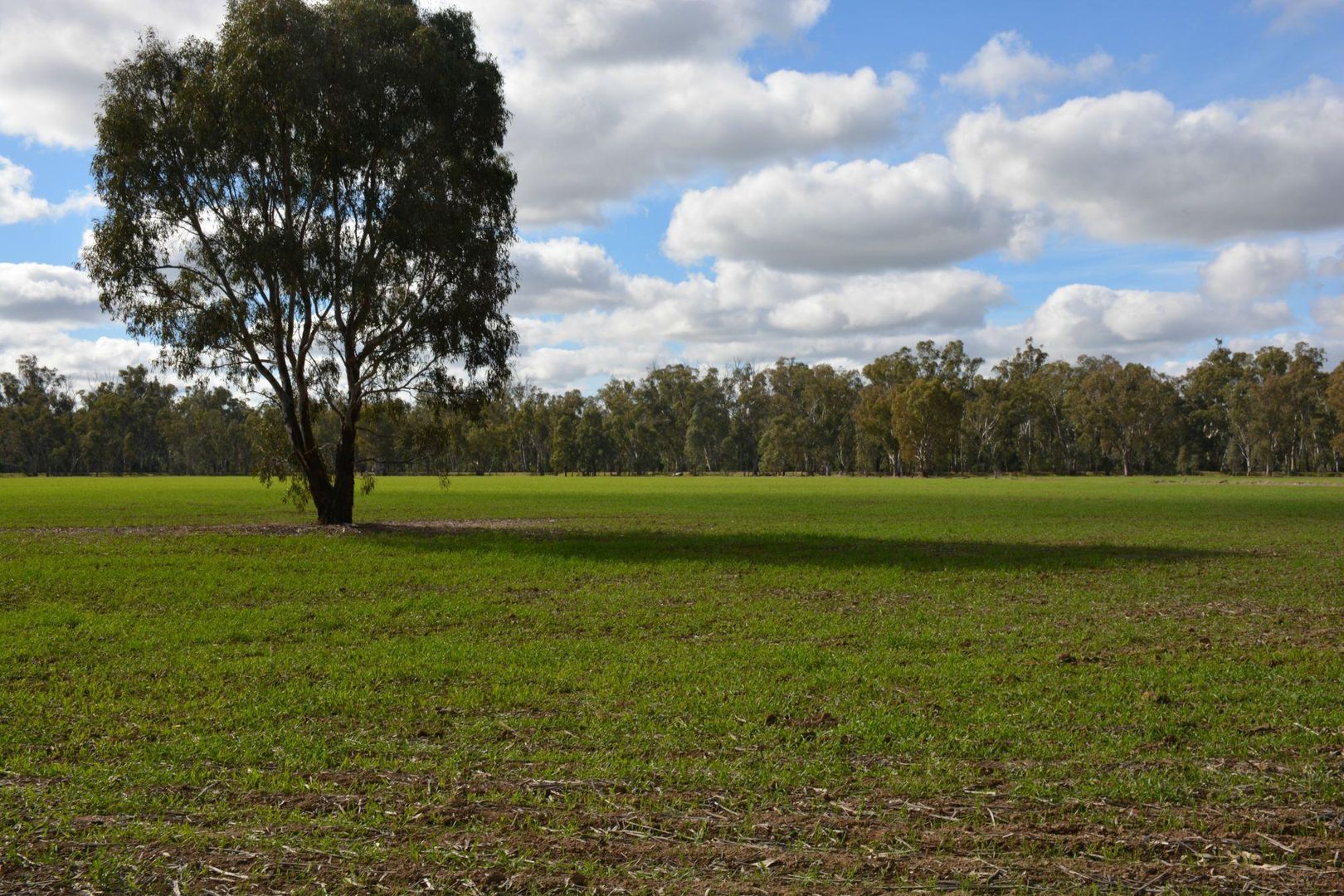 . Haynes Road St, Bearii VIC 3641, Image 2