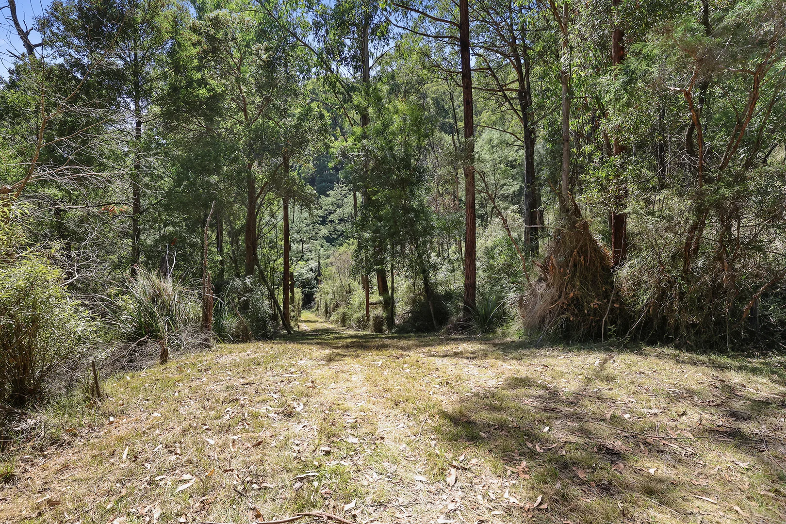 Additional image 10 of 488 Toorongo Valley Road, Noojee VIC 3833