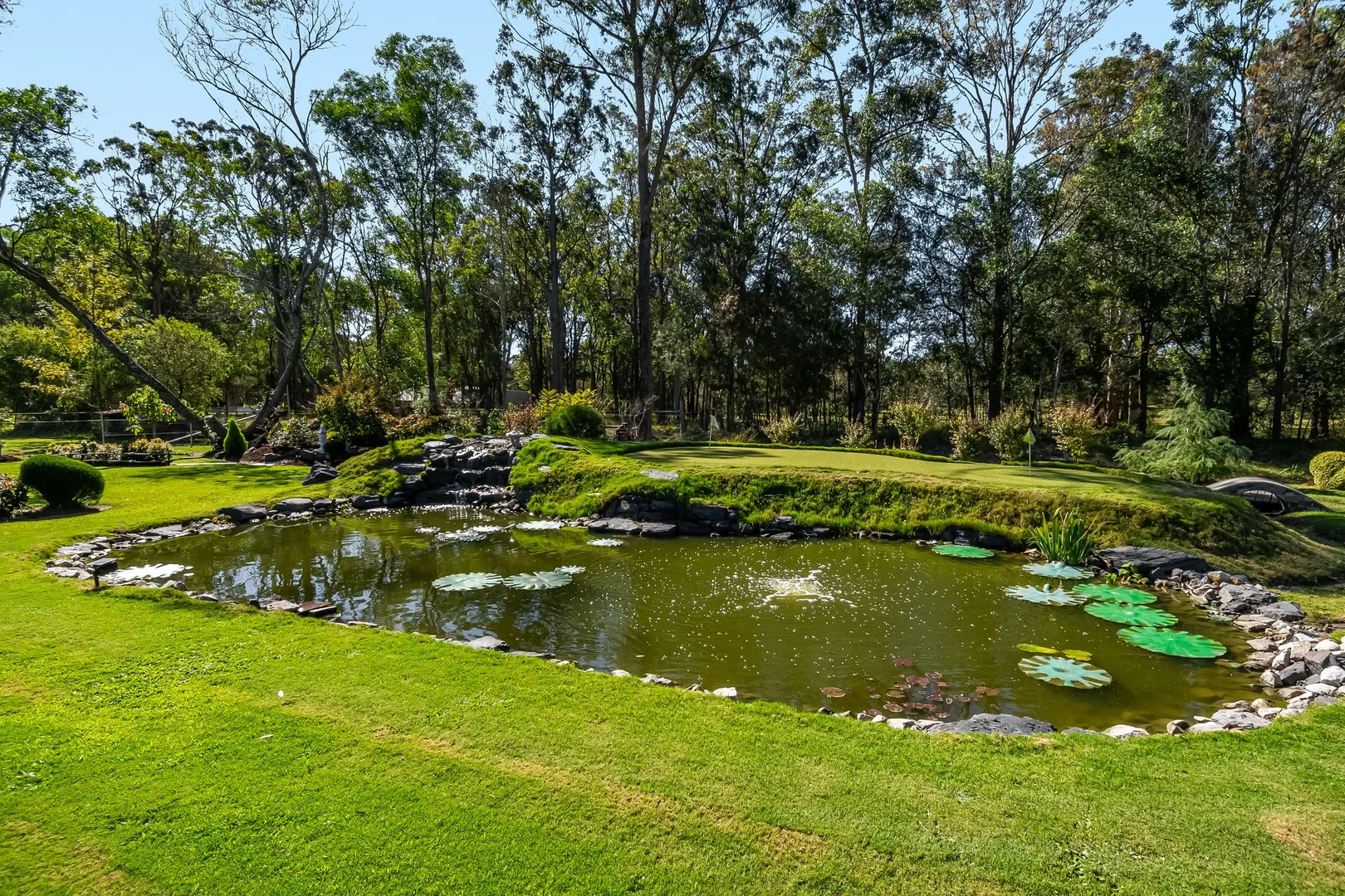Image 15
