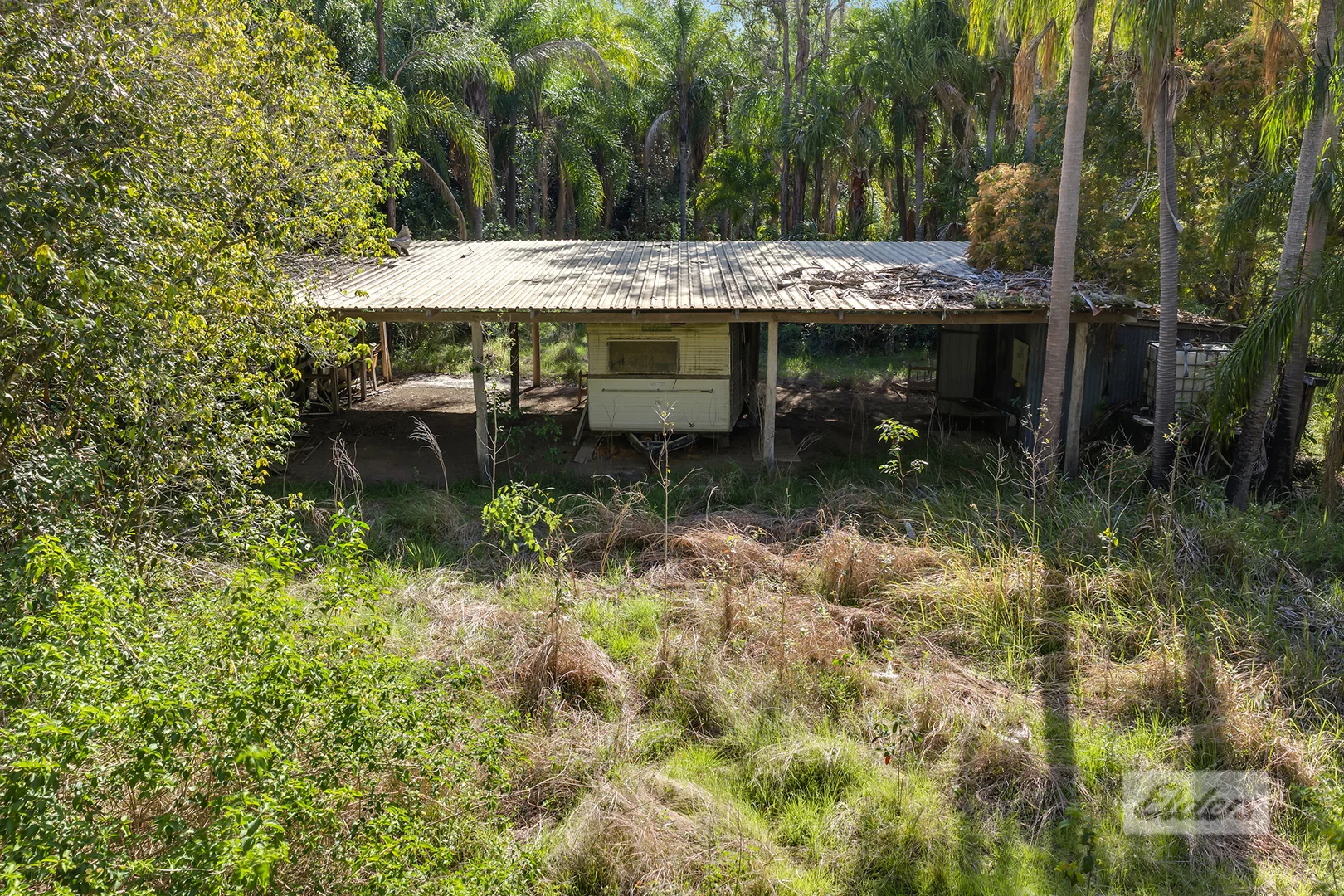 Image 12