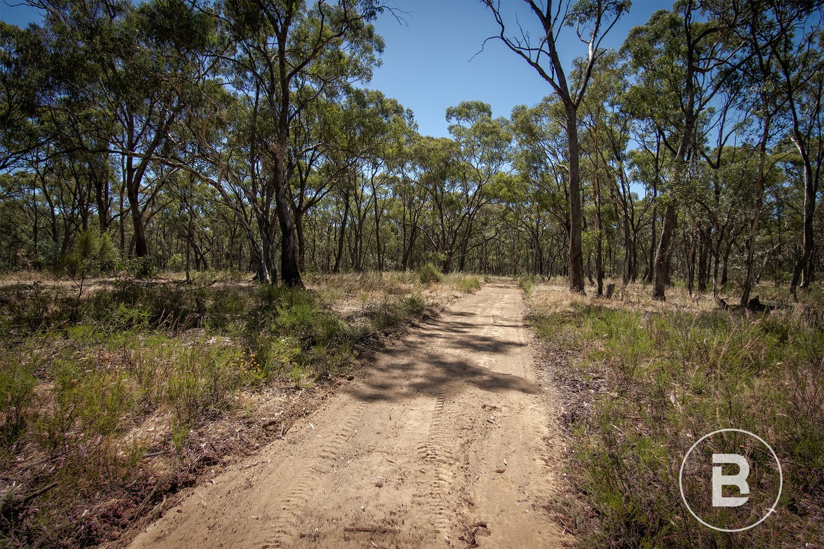 Eddington - Laanecoorie Road, Eddington VIC 3472, Image 1