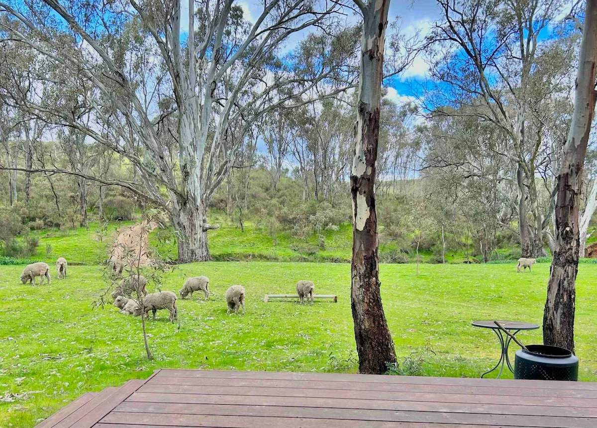 Additional image 9 of CA5 & 5J Hylands Lane, Heathcote VIC 3523