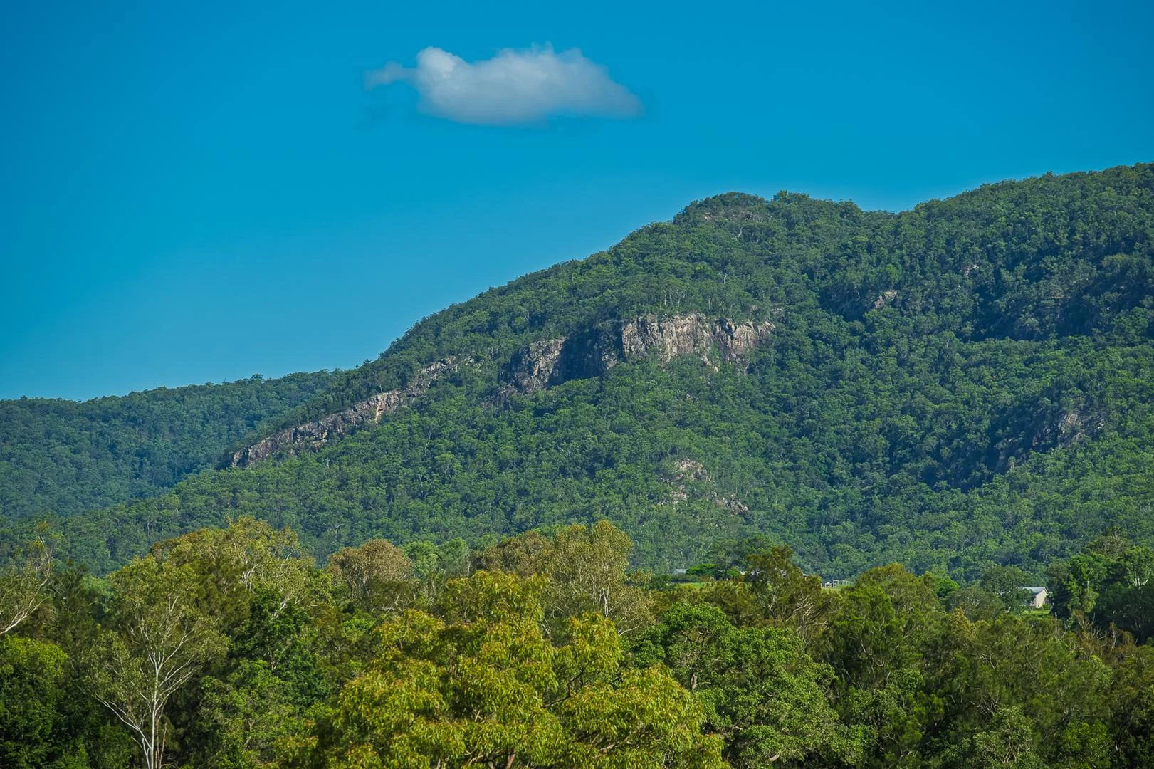 Additional image 52 of 40 McGinn Road, Gheerulla QLD 4574