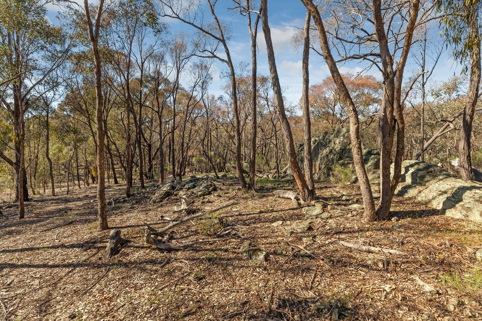 Lot 6 Steens Road, Axe Creek VIC 3551, Image 2