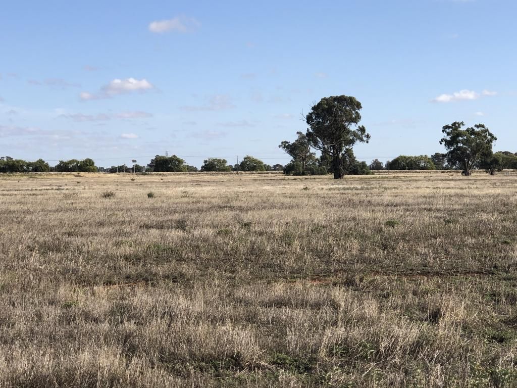 Lot 12, Hamilton St, Finley NSW 2713 Vacant Land for Sale Domain