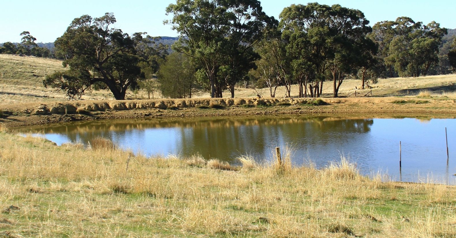 Vacant land in 46 Wild Duck Rd, HEATHCOTE VIC, 3523