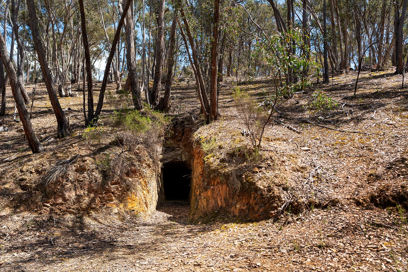 Image 18