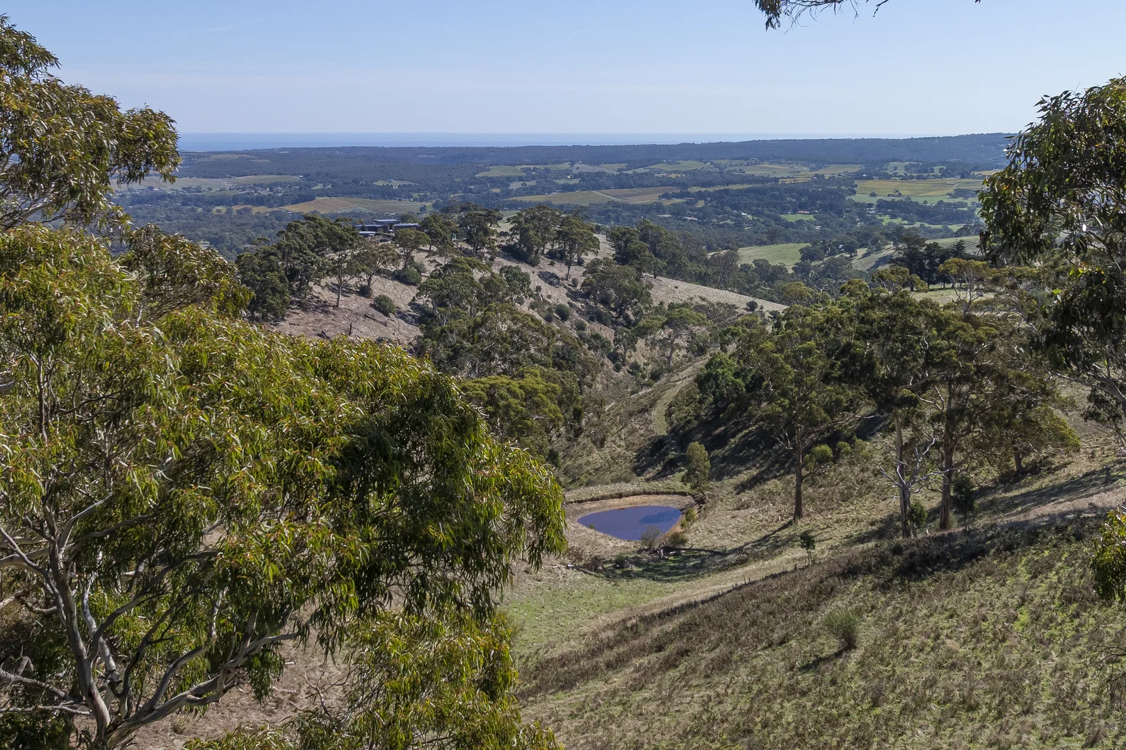 Image 12