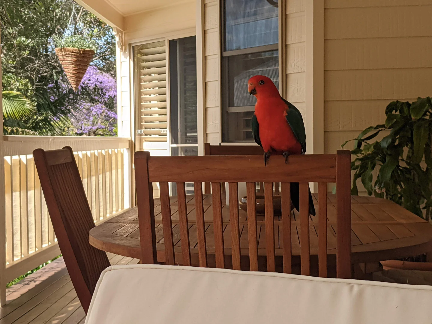 Additional image 16 of 25/43-45 Western Avenue, Montville QLD 4560