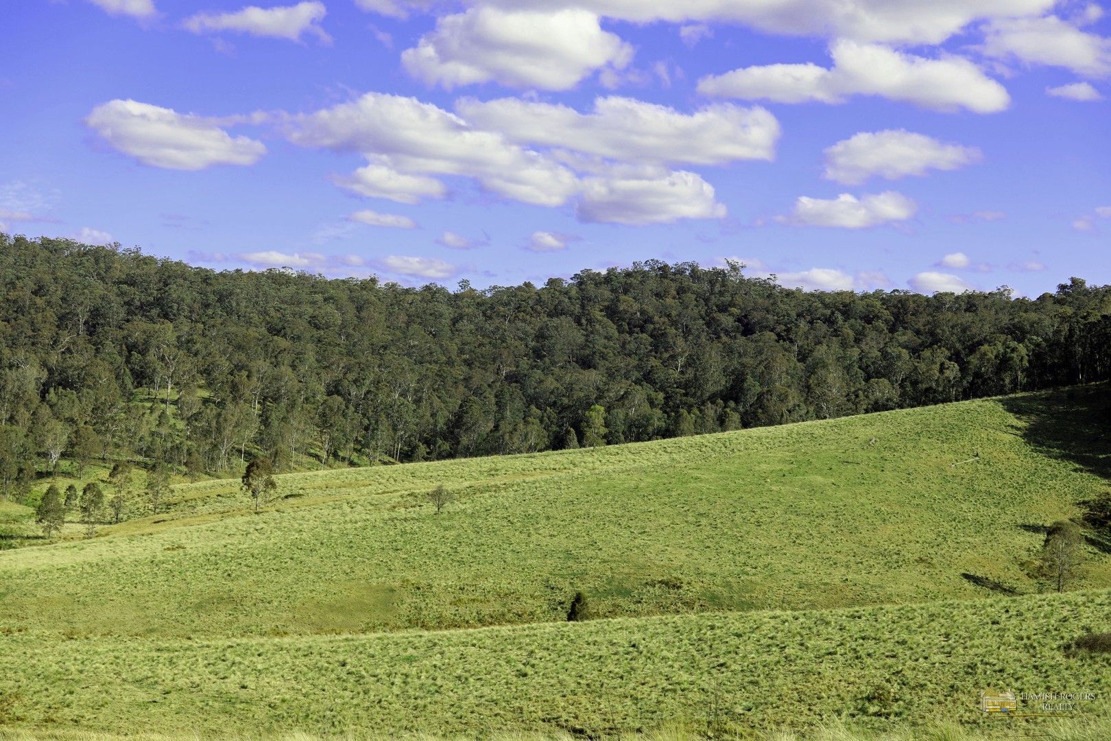 773 Putty Valley Road, Putty NSW 2330 Domain