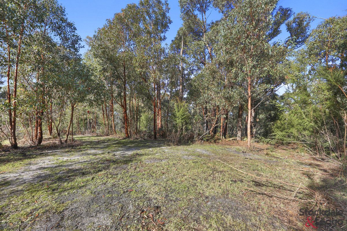 224 Ricardo Road, Mirboo North VIC 3871, Image 2