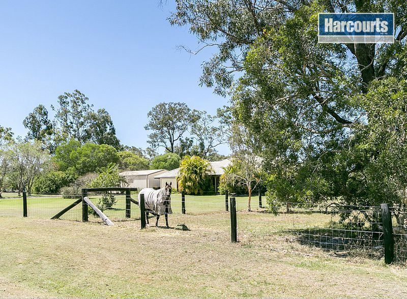 153 Barranjoey Drive, Sunshine Acres QLD 4655, Image 0