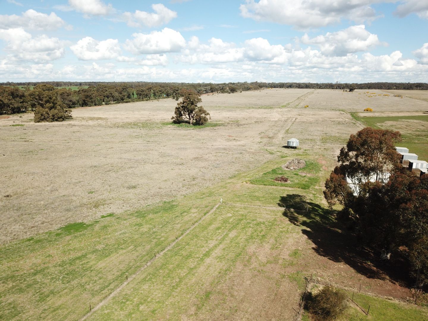 Rosebank 12983 Newell Highway, West Wyalong NSW 2671, Image 2