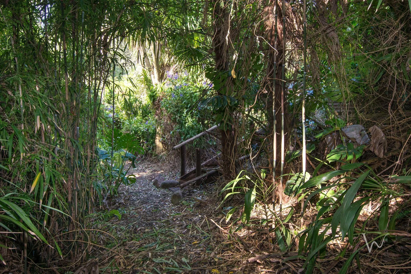 Additional image 12 of 5 Wattle Avenue, Belgrave VIC 3160