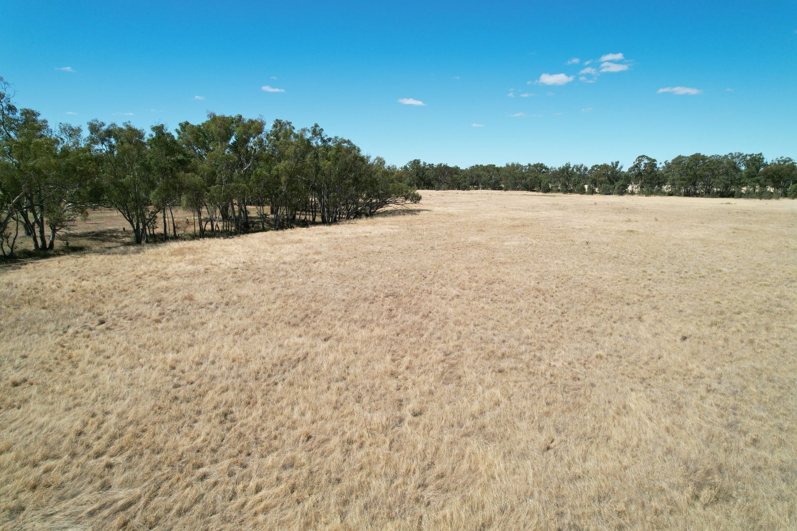 Boort-Kurting Road, Kurting VIC 3517, Image 1