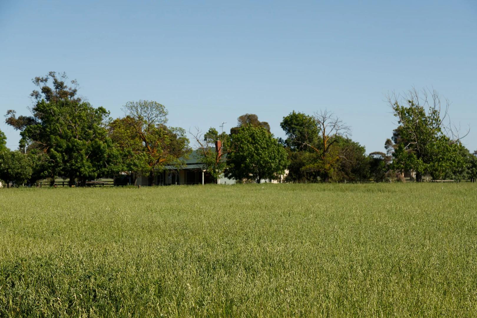 Image 22