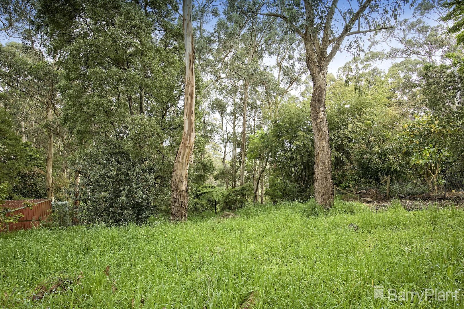 50 Menzies Road, Menzies Creek VIC 3159 Domain