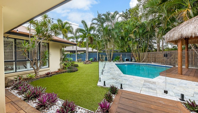 Picture of 28 Rainsford Place, BUDERIM QLD 4556
