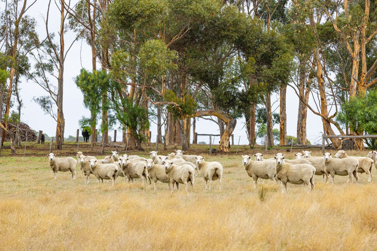 1660 and 1690 Colac-Ballarat Road, Beeac VIC 3251, Image 1