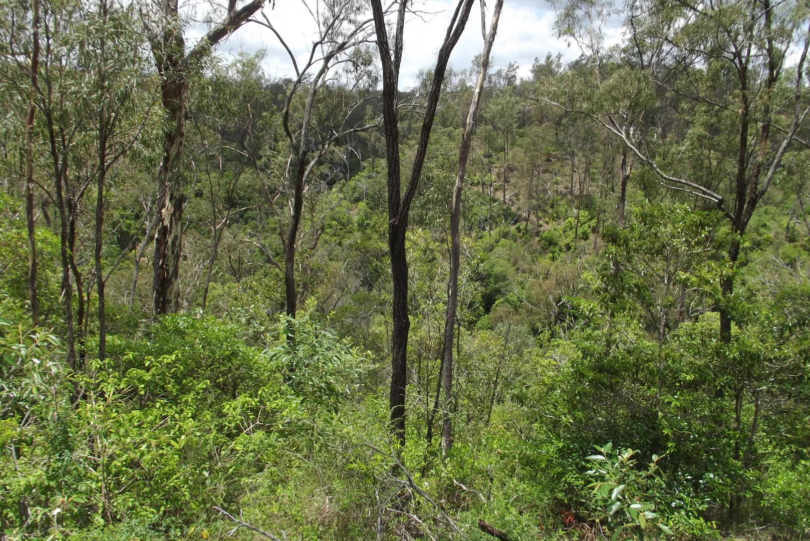 Image 13