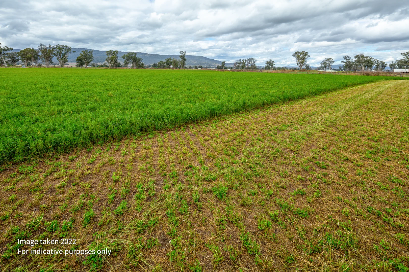 Additional image 16 of 'Little Fields North 220 Middlebrook Road, Scone NSW 2337