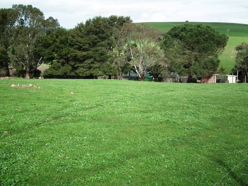 Allotment 1 White Flat Rd, Hundred of Louth, WHITES FLAT SA 5607, Image 1