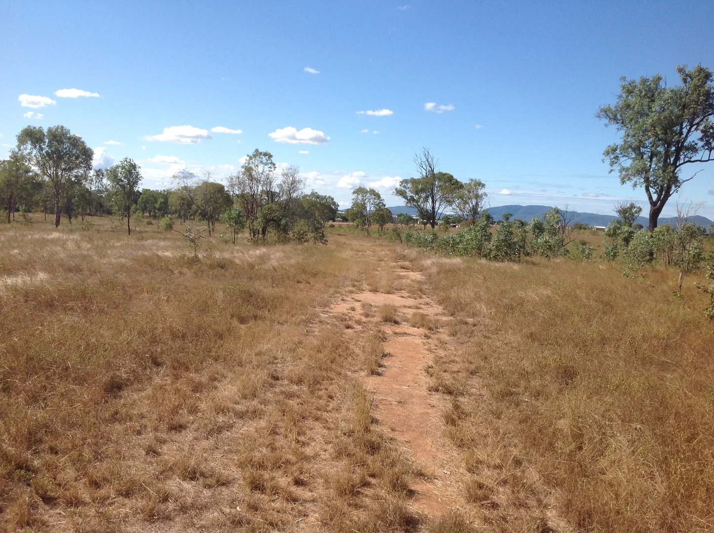 Image 13