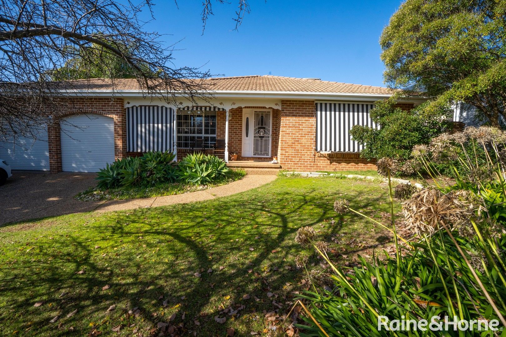 53 Brooklyn Drive, Bourkelands NSW 2650 House For Rent Domain