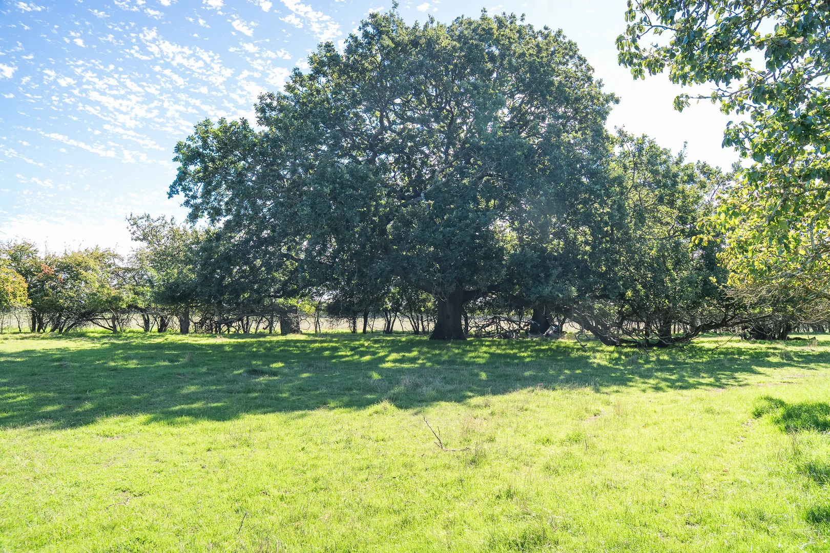 Image 25