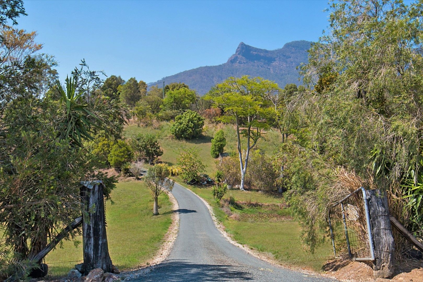 Tyalgum NSW 2484 Rural Lifestyle Property for Sale Domain