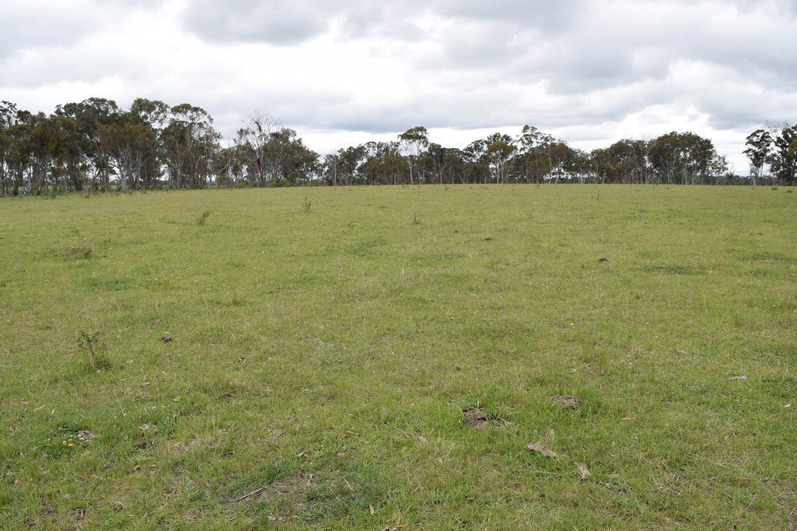 460 Donald Road, Armidale NSW 2350, Image 1