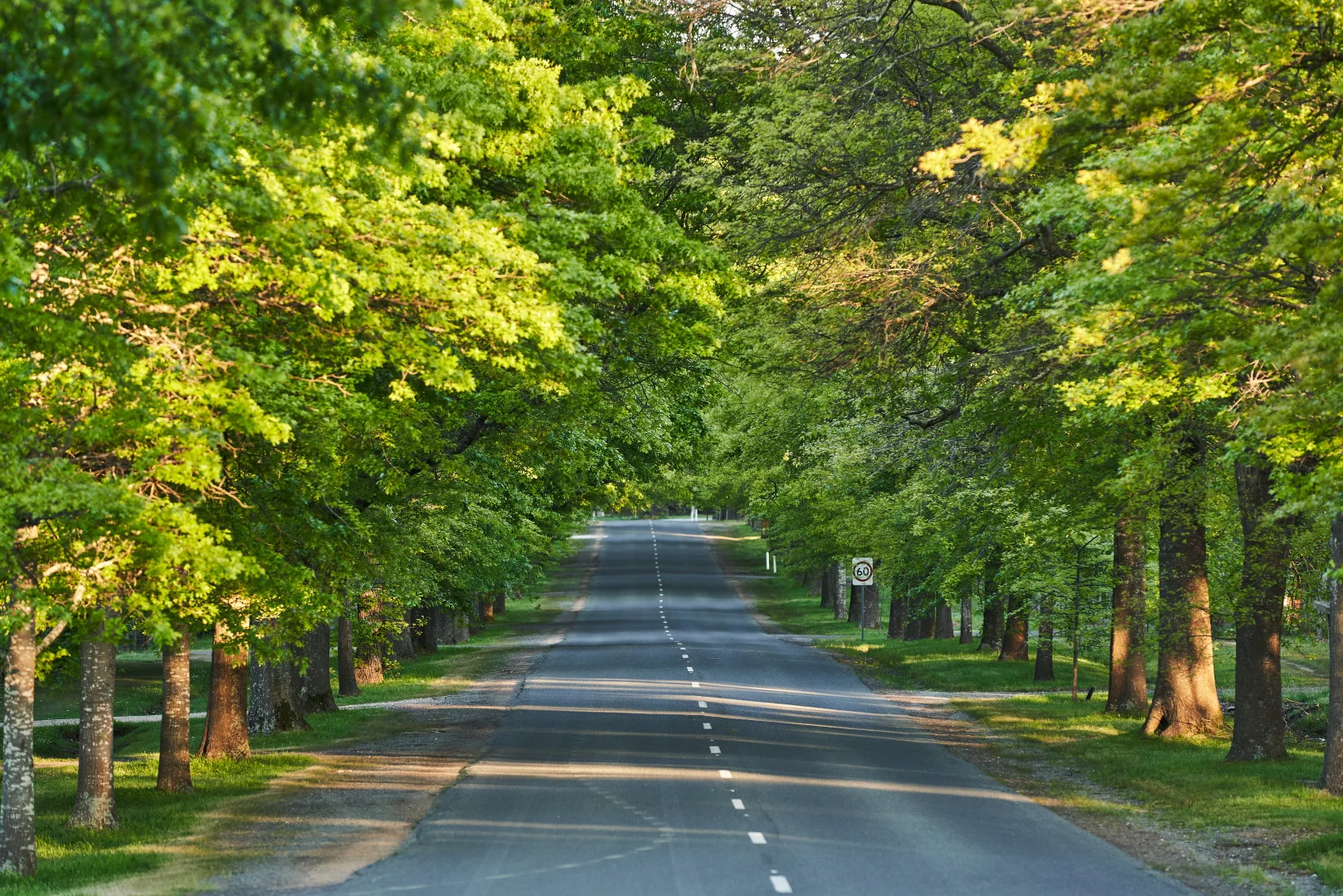 Additional image 14 of Everglow Drive, Kyneton VIC 3444