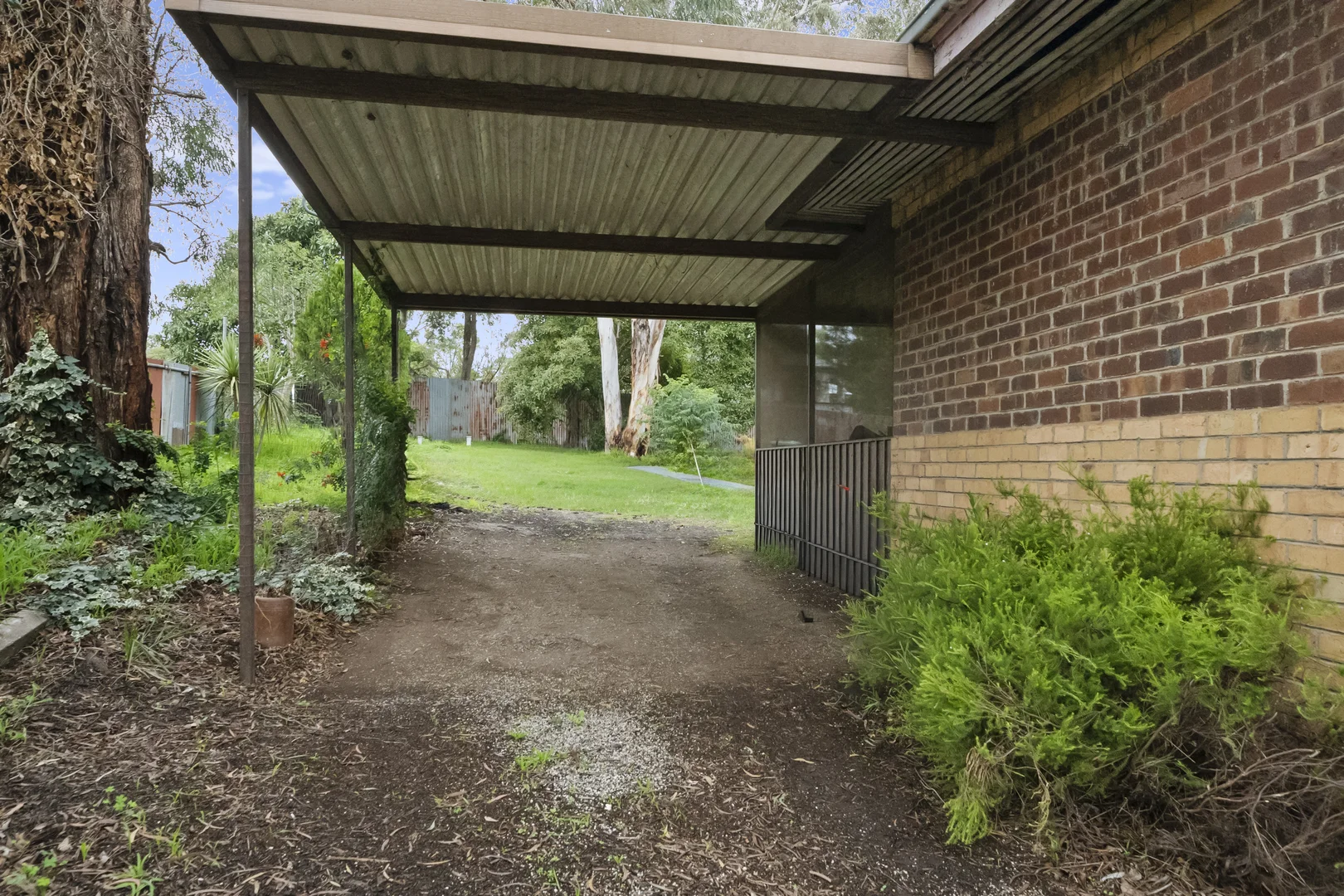 Image 12