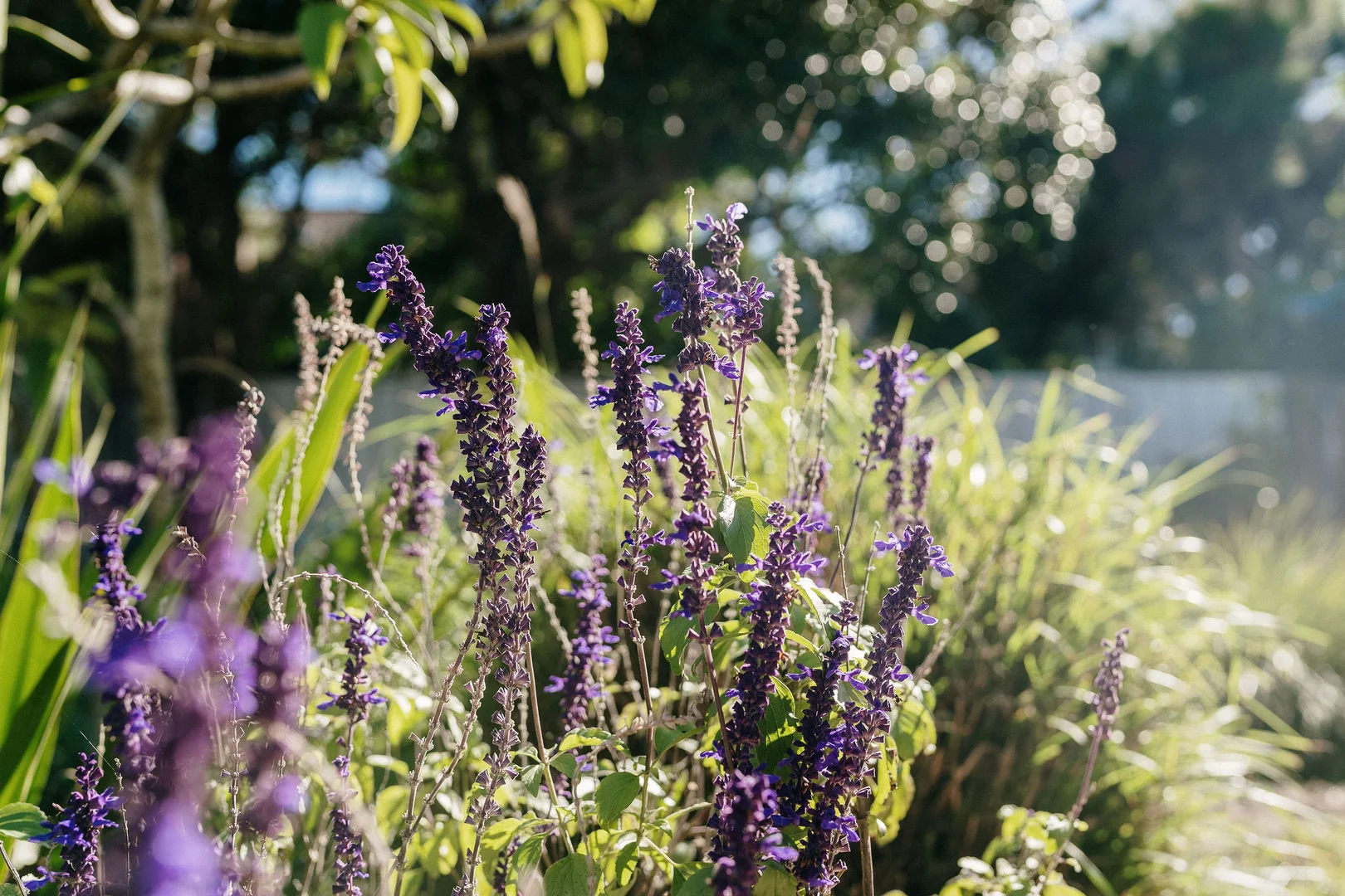 Image 15
