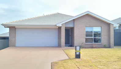 Picture of 118 Radford Street, CLIFTLEIGH NSW 2321