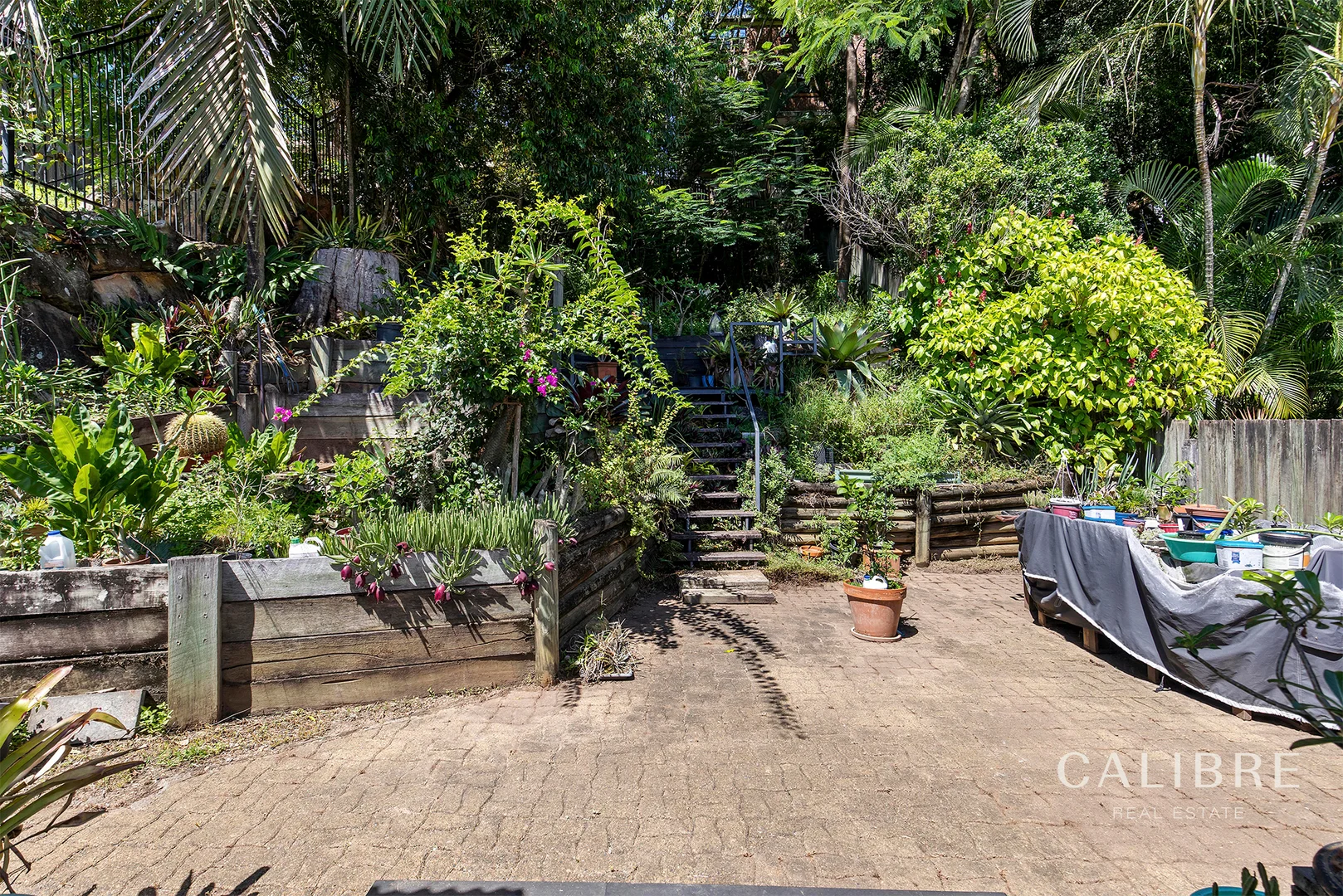 Image 10